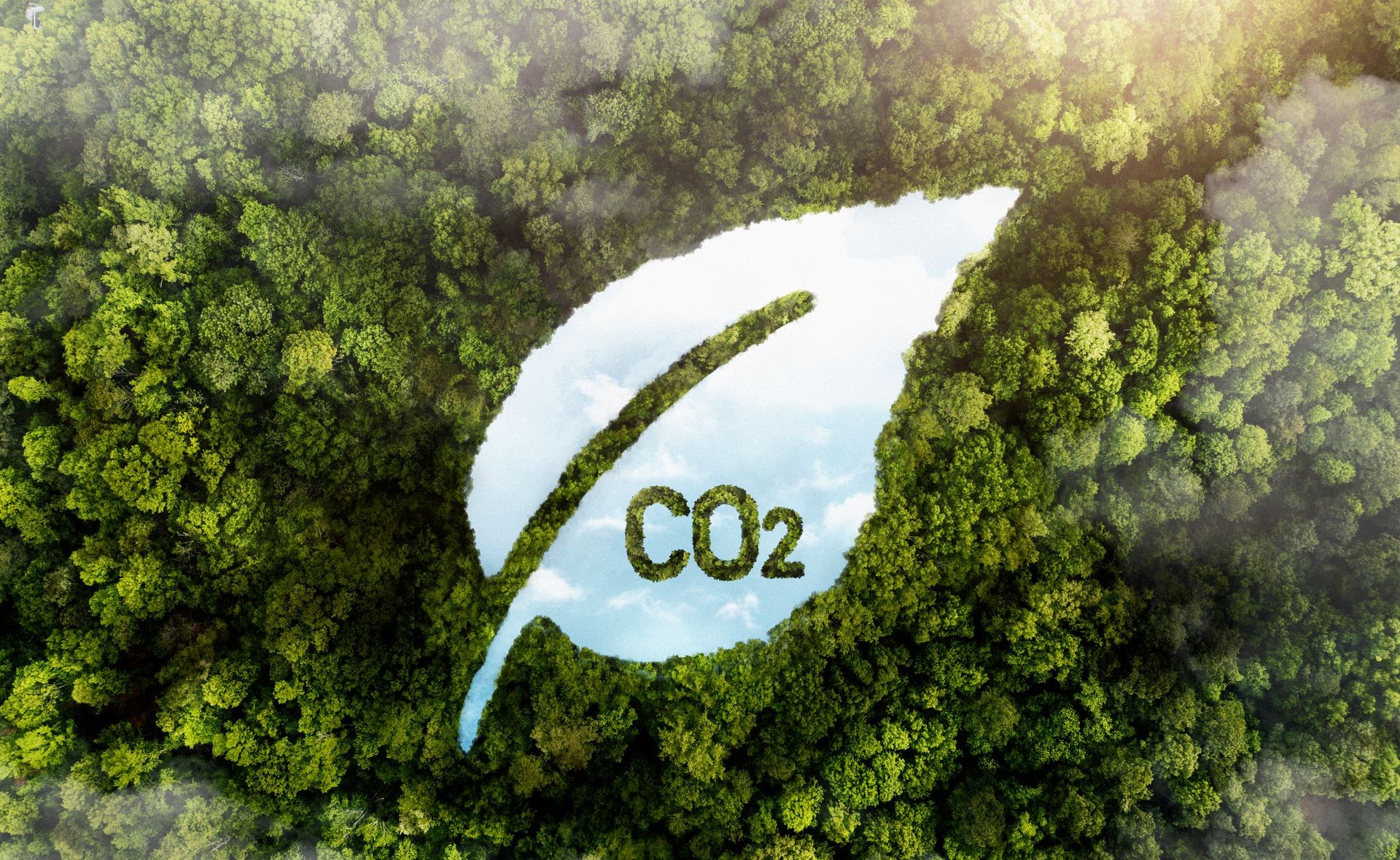 Carbon Offsetting Guidance