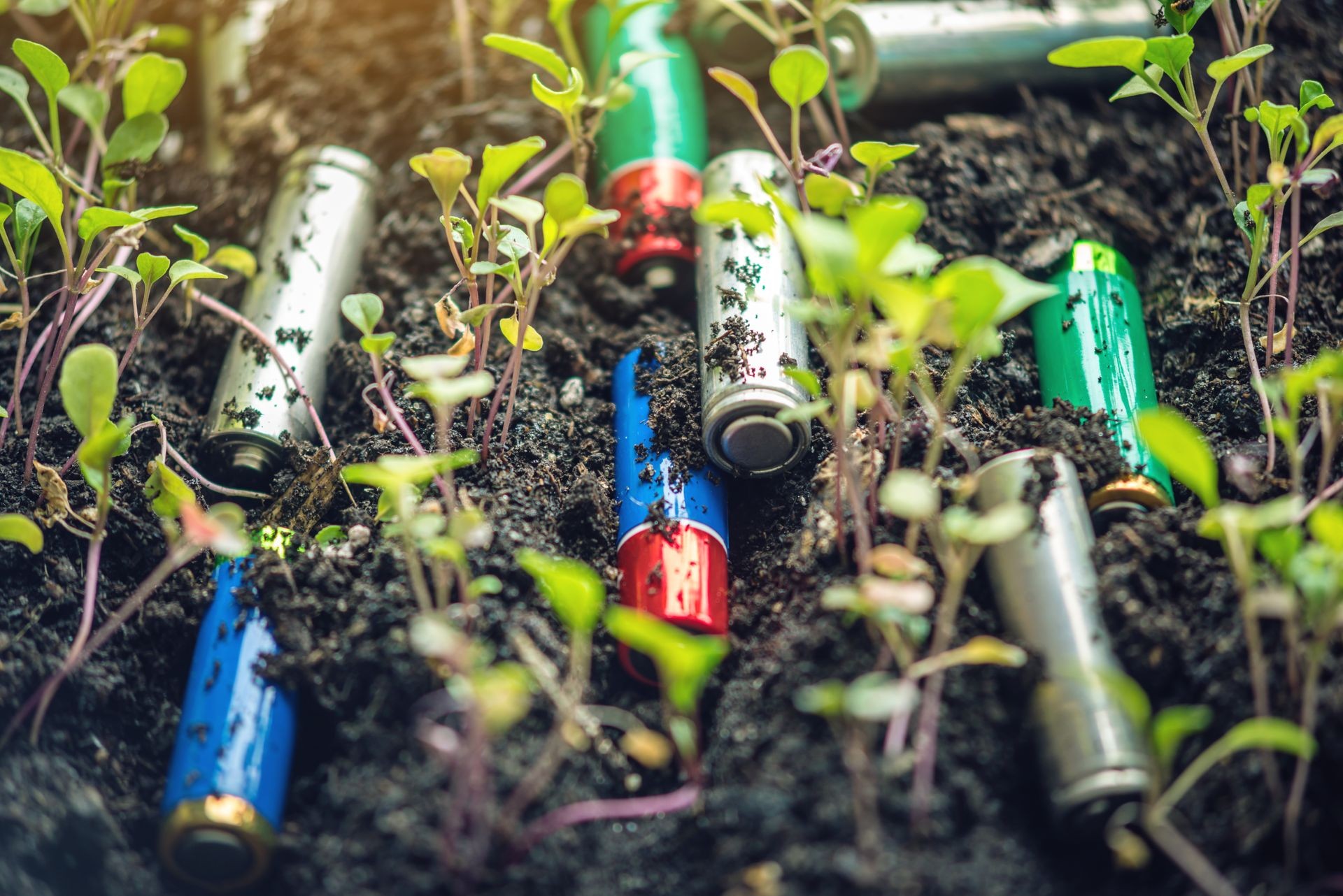 Used alkaline batteries lie in the soil where plants grow. The concept of environmental pollution with toxic household waste